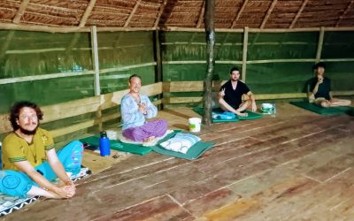 Sacred Space: What to Expect During An Ayahuasca Ceremony